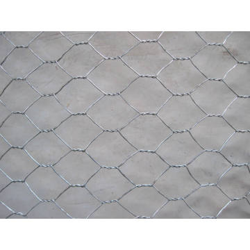 Galvanized Hexagonal Wire Mesh 1/2" to 2"